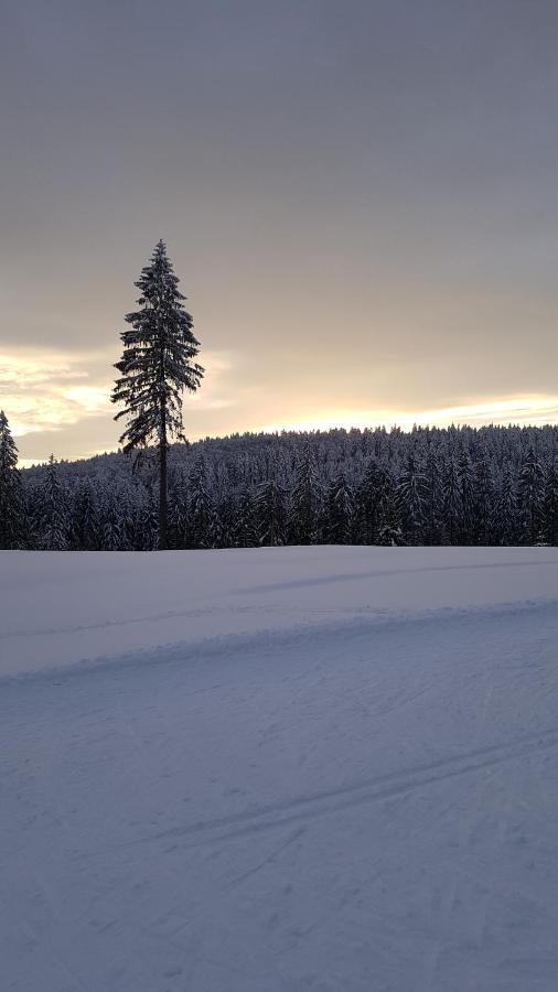 Haus Steindoebra Villa Klingenthal Buitenkant foto