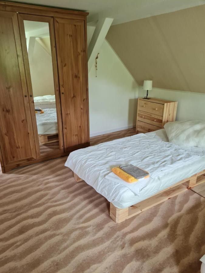 Haus Steindoebra Villa Klingenthal Buitenkant foto
