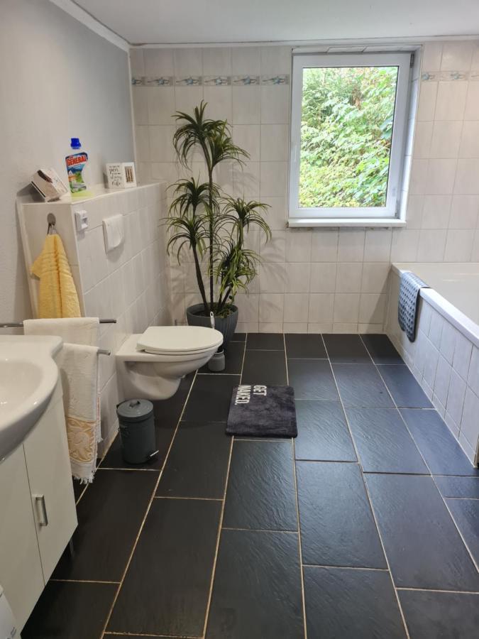 Haus Steindoebra Villa Klingenthal Buitenkant foto